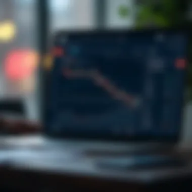 Webull Account Setup Account setup process on Webull